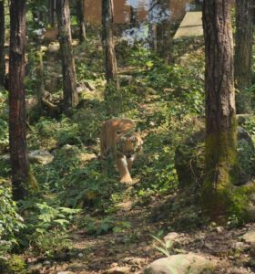 UTTARAKHAND WILDLIFE WEEK 2025