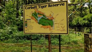 CORBETT SAFARI