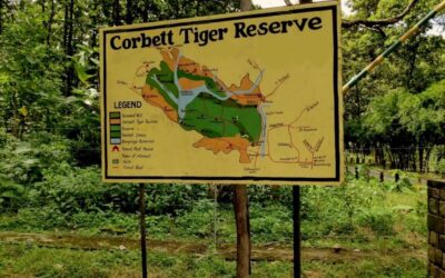 कॉर्बेट में हो रही पर्यटन सीजन की शुरुआत, इस दिन से कर सकेंगे सैलानी जंगल सफारी CORBETT SAFARI