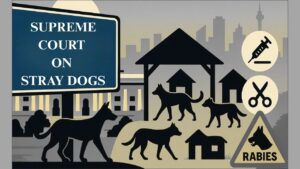 SUPREME COURT ON STRAY DOGS