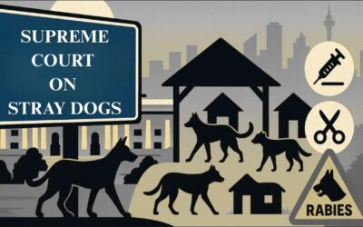 SUPREME COURT ON STRAY DOGS