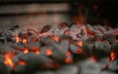 HARIDWAR SIDCUL SUICIDE