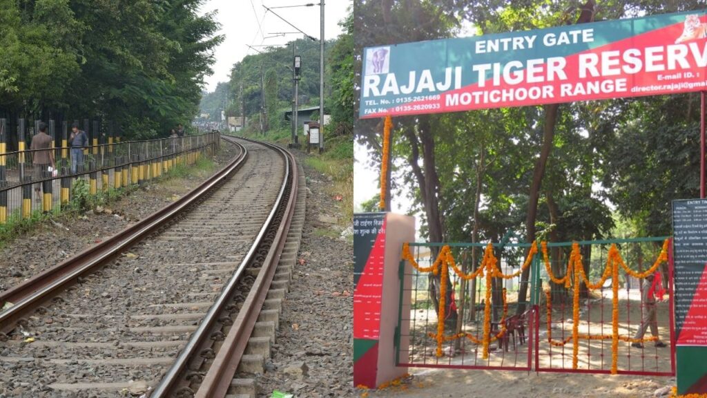 DEHRADUN RAIL ELEPHANT ACCIDENT