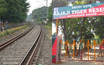 DEHRADUN RAIL ELEPHANT ACCIDENT