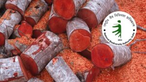 RED SANDERS CONSERVATION