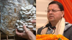 BUGGAWALA MUSHROOM PLANT