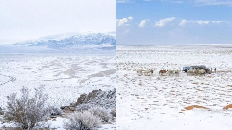 SAUDI ARABIA SNOWFALL