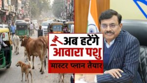 UTTARAKHAND STRAY ANIMALS