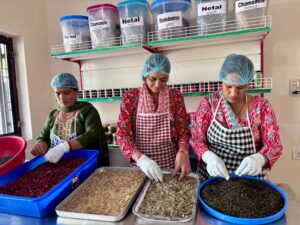 UTTARAKHAND REAP PROJECT