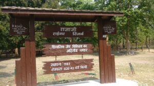 RAJAJI TIGER RESERVE BABY ELEPHANT: