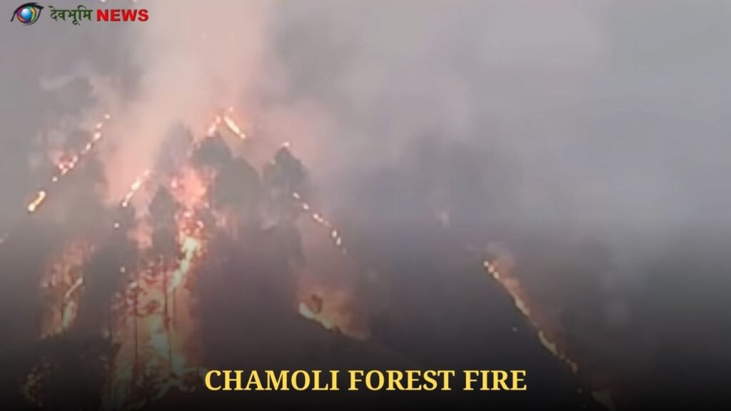 CHAMOLI FOREST FIRE