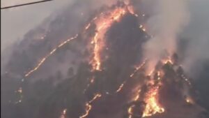 CHAMOLI FOREST FIRE