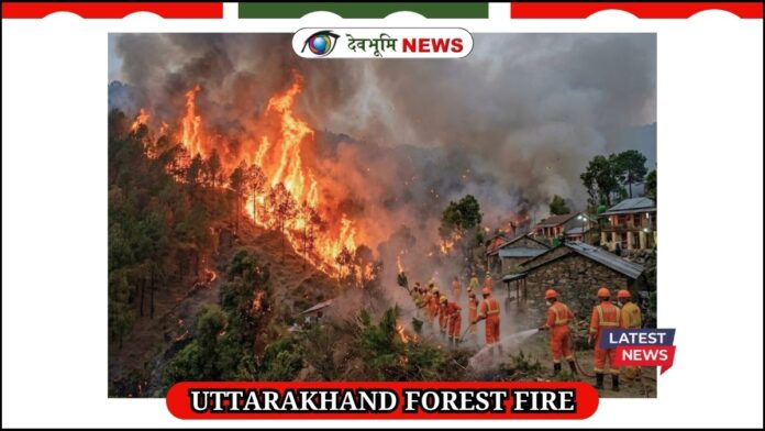 UTTARAKHAND FOREST FIRE