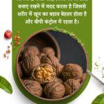 OMEGA 3 FATTY ACID