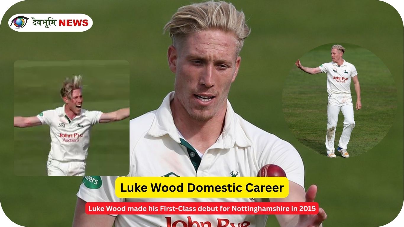 Luke Wood domestic career