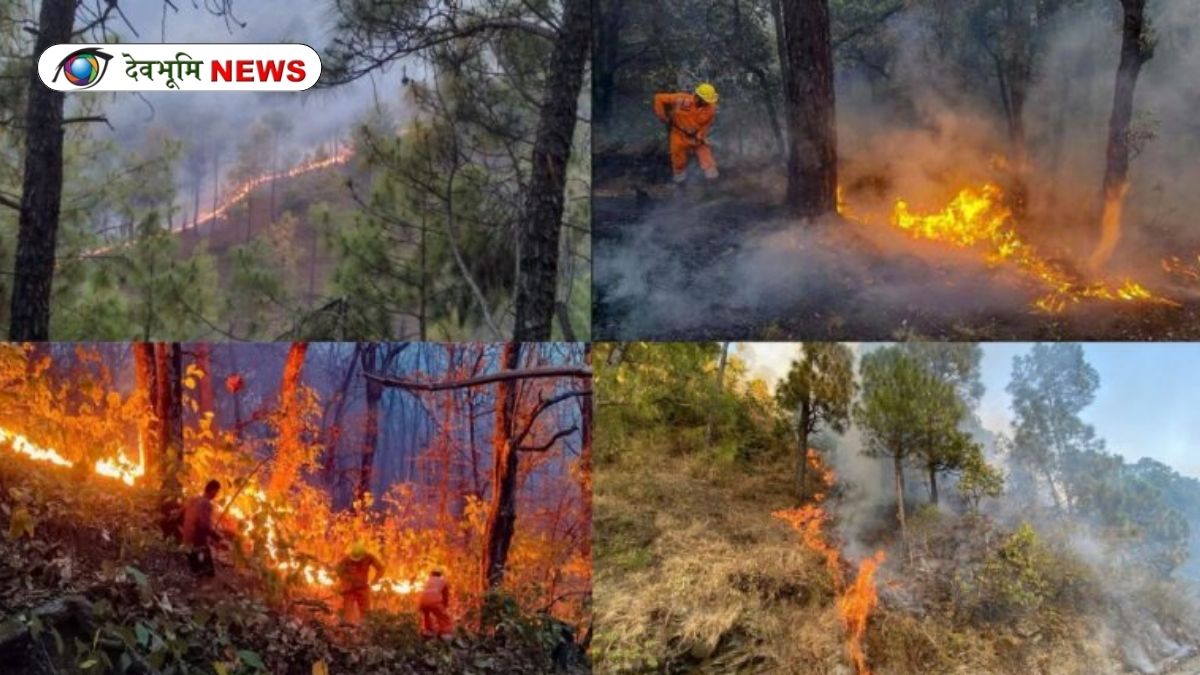 UTTARAKHAND FOREST FIRE