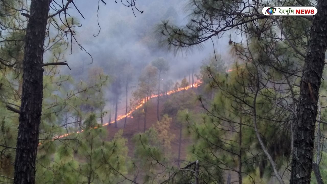 UTTARAKHAND FOREST FIRE