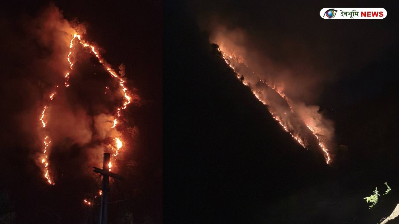 UTTARAKHAND FOREST FIRE