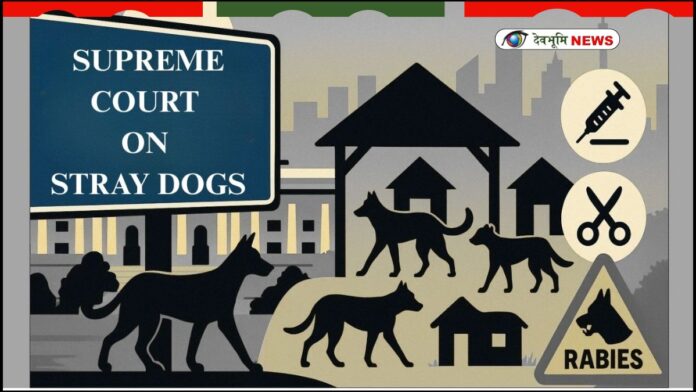 SUPREME COURT ON STRAY DOGS