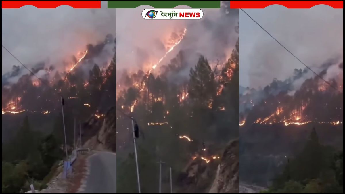 CHAMOLI FIRE WATCHER