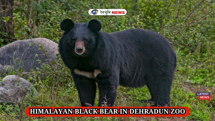 DEHRADUN ZOO