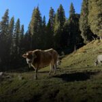 UTTARAKHAND TOURIST PLACES