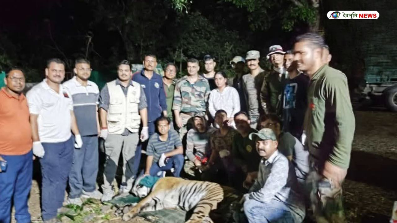 CORBETT TIGER