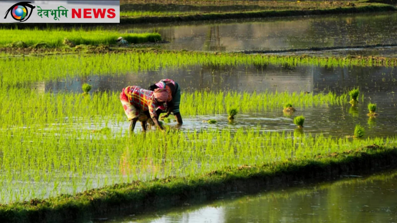 मानसून 