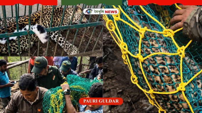 PAURI GULDAR