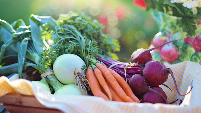 Organic Farming