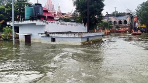 नेपाल 