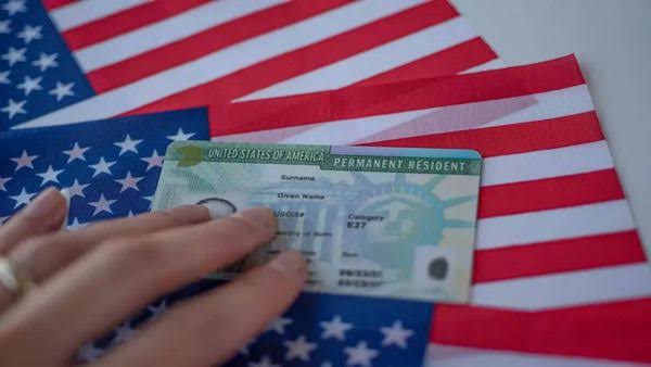 H-1B