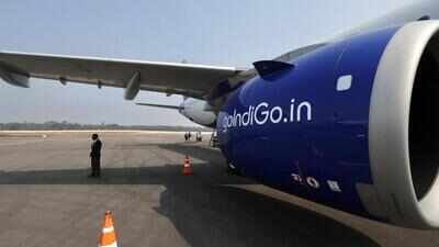 Indigo 
