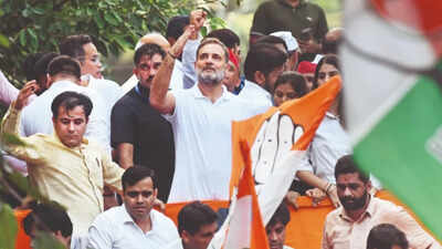 राहुल गांधी 